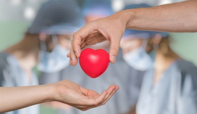 Día Mundial de la Donación de Órganos, Tejidos y Trasplantes