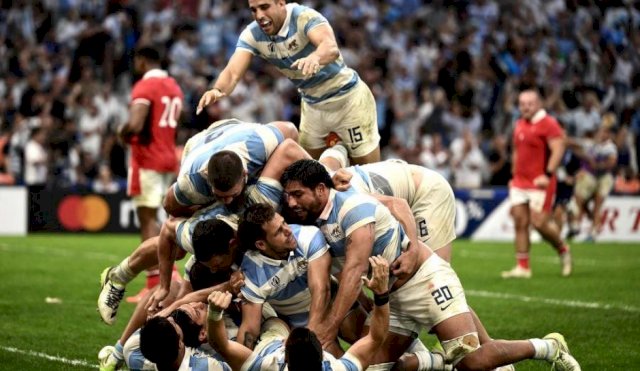 pumas