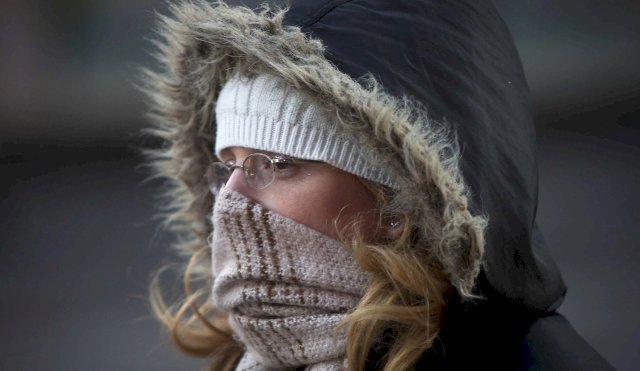 LA PLATA FRIO