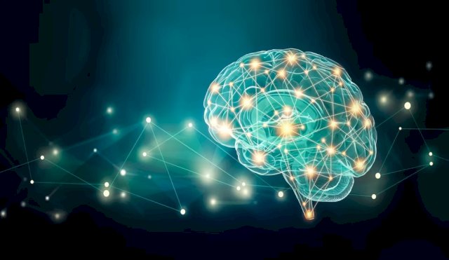 CEREBRO 