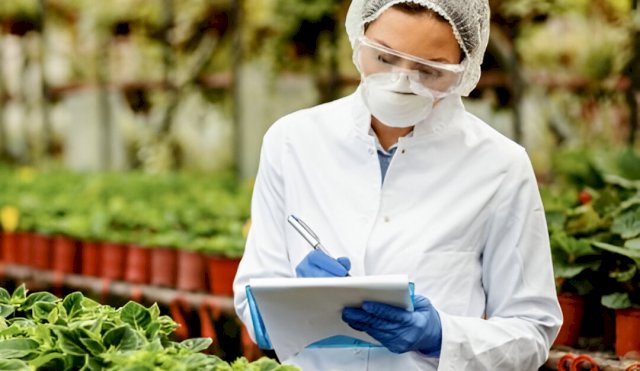 INVESTIGACIÓN