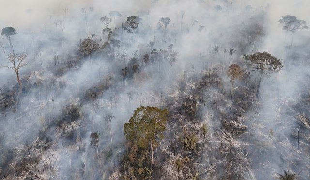 HUMO BRASIL