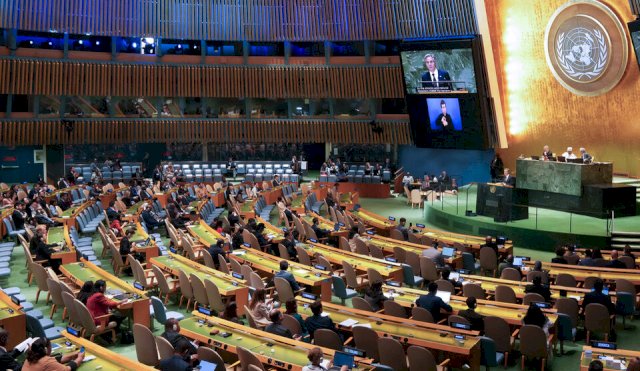 onu1