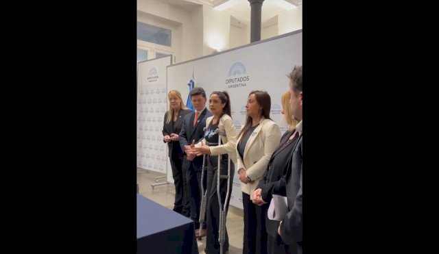 maslvinas argentinas