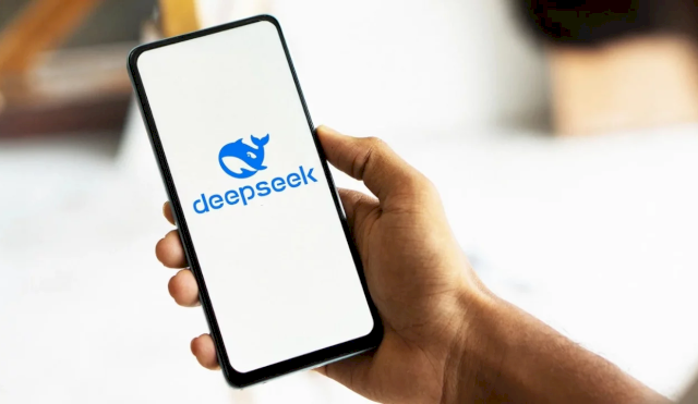 DDEEPSEEK